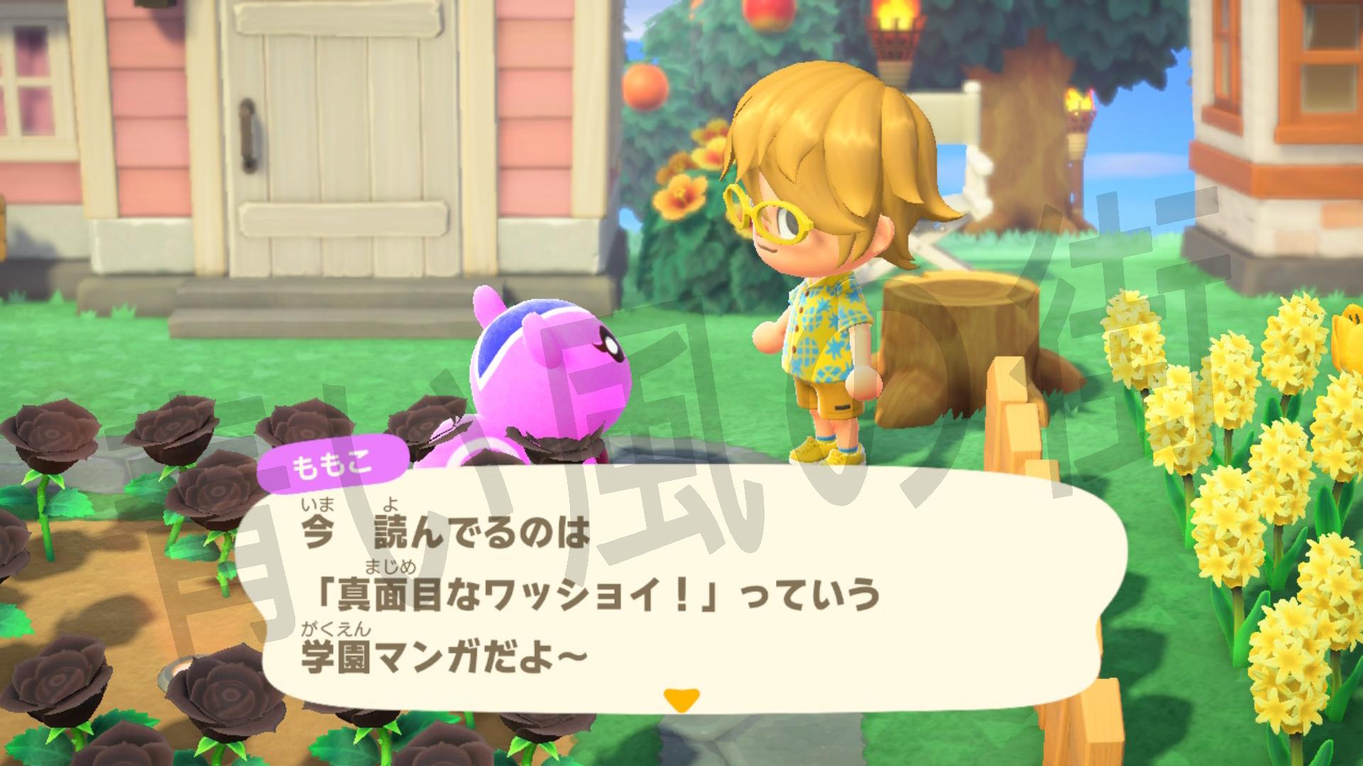 真面目なワッショイ！